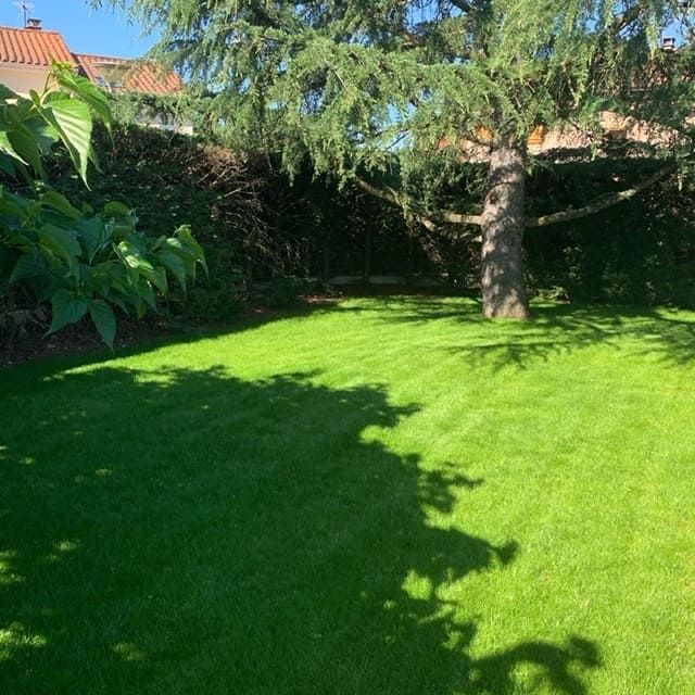 Entretien de pelouse