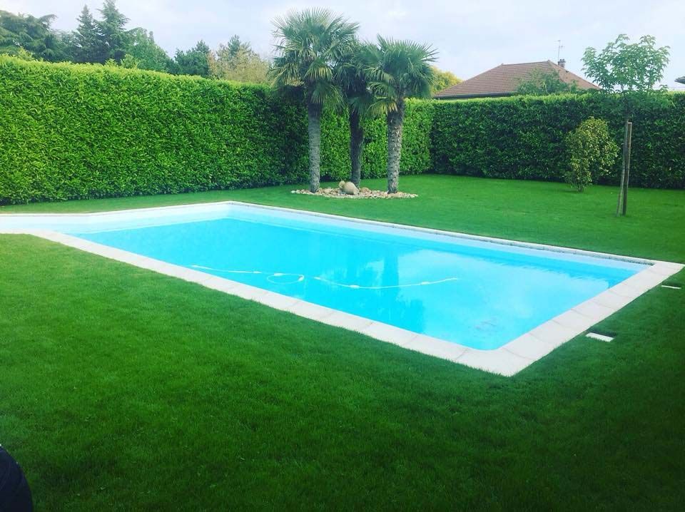 Création de gazon naturel