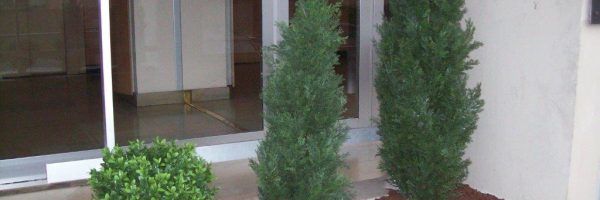 Plantes artificielles décoratives