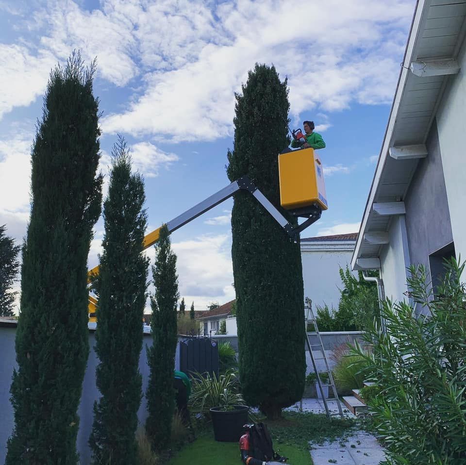 Réalisation paysagère